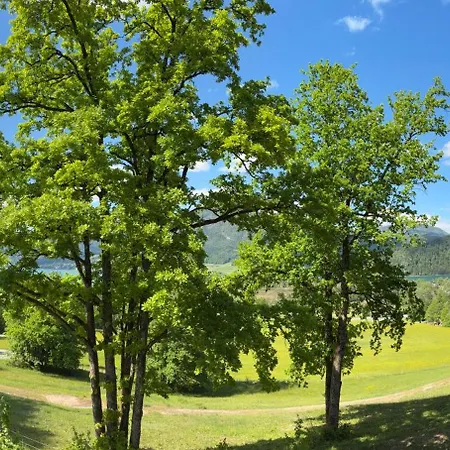 Laimer Urschlag Strobl